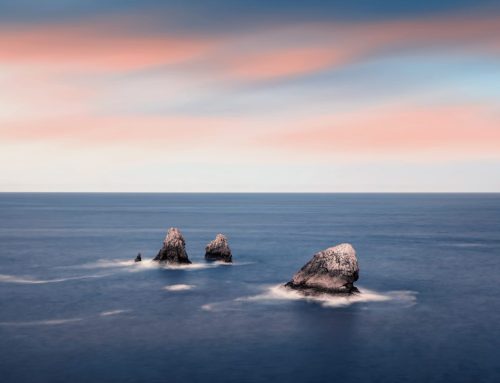 Cuidemos nuestro Cantábrico. La importancia de una pesca sostenible y cuidar el mar