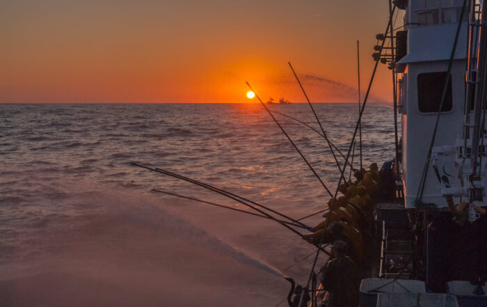 Temporada de Costera de Bonito.