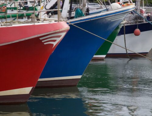 ¡Fin a la temporada de Costera de Bonito 2025!