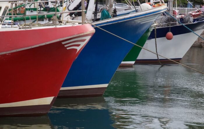 Costera de Bonito Bizkaia